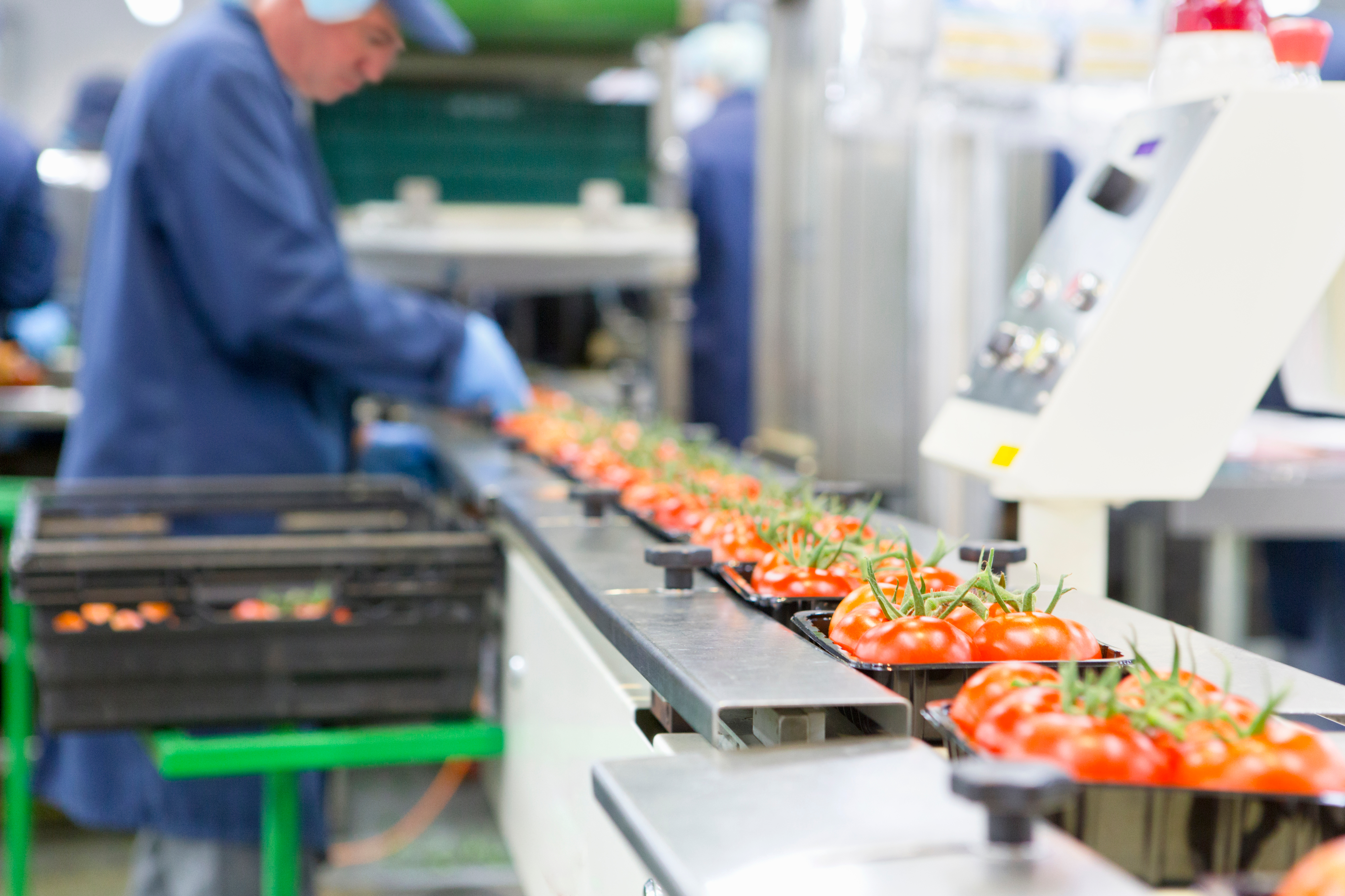 Alimentos, Bebidas y Agroindustria